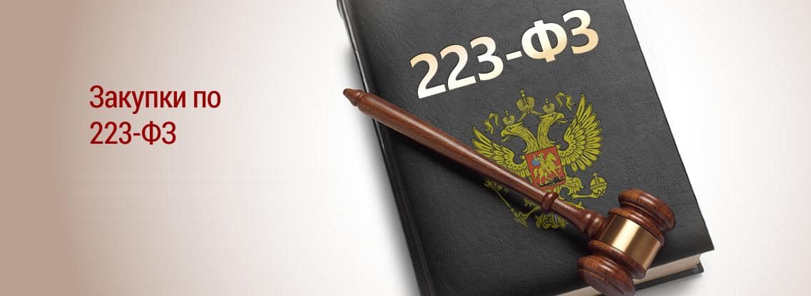Общие требования к банковской гарантии по 223 фз
